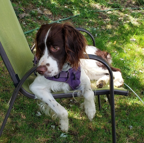 Meet your Posher, Karen - Picture 1 of 1